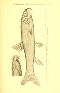 n328_w1150