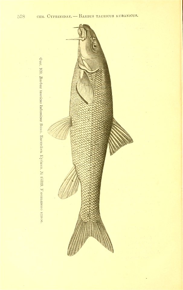 n253_w1150