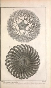 n188_w1150