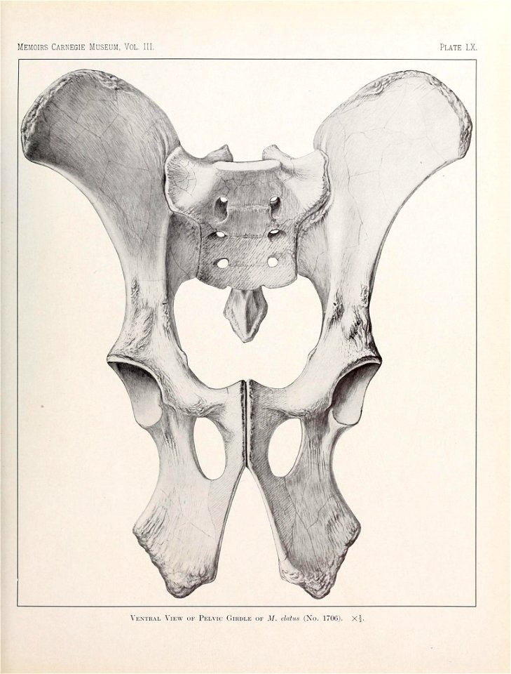 n556_w1150