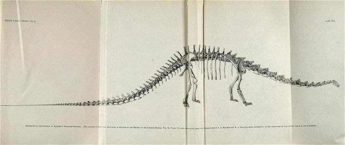 n378_w1150
