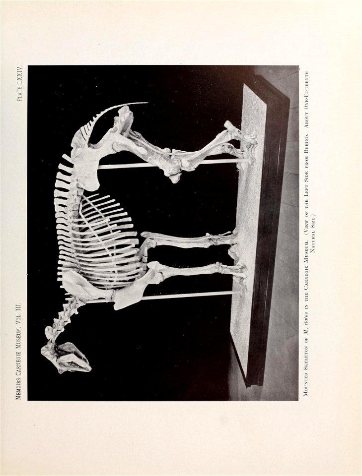 n584_w1150