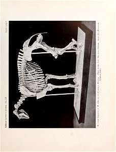 n584_w1150