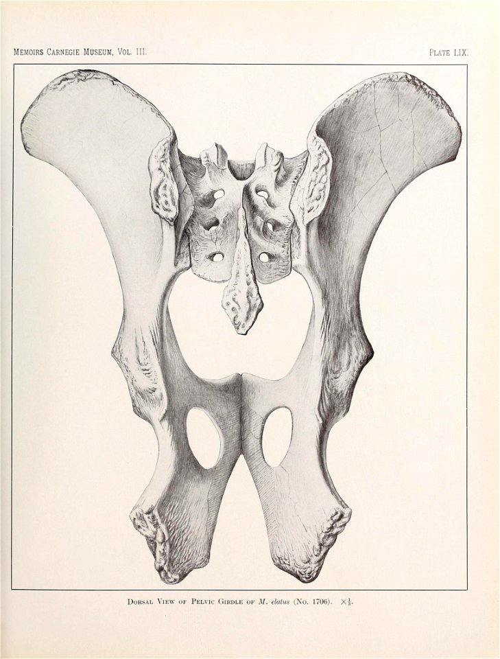 n554_w1150