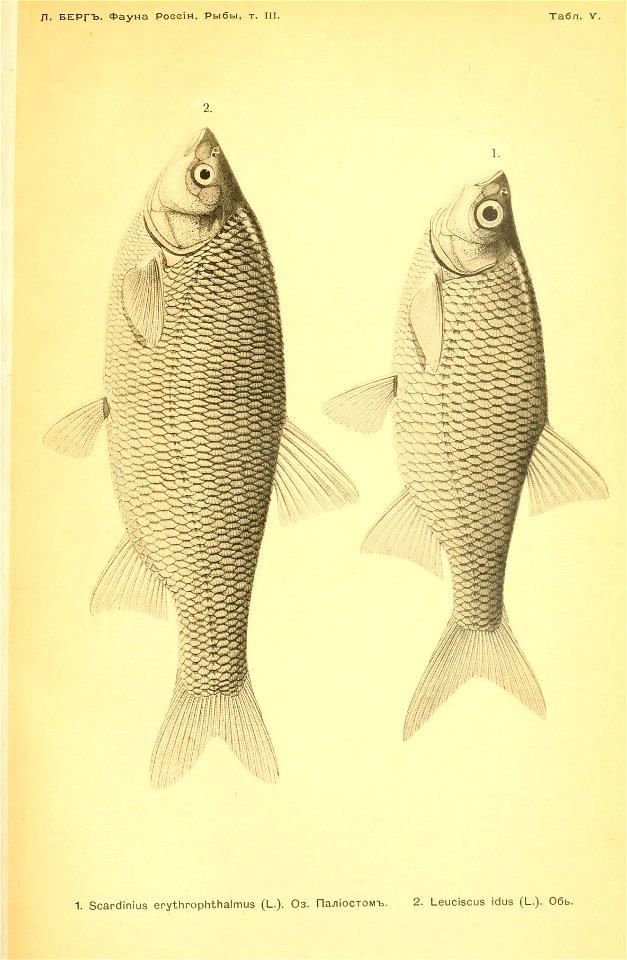 n384_w1150