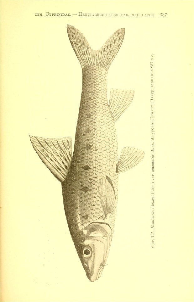 n312_w1150