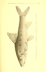n312_w1150
