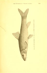 n244_w1150