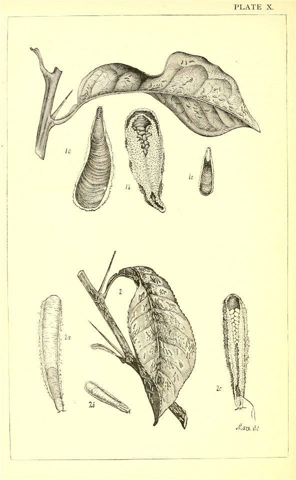 n159_w1150