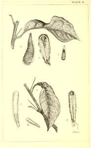n159_w1150