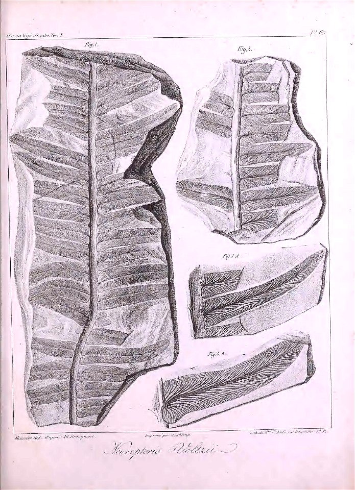 n456_w1150