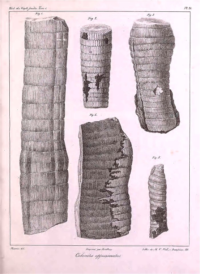 n366_w1150