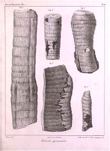 n366_w1150