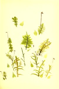 n178_w1150