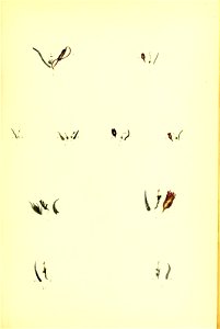 n120_w1150