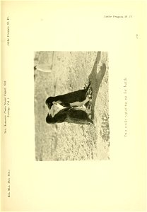 n140_w1150
