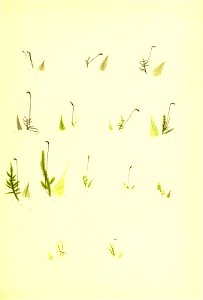 n160_w1150