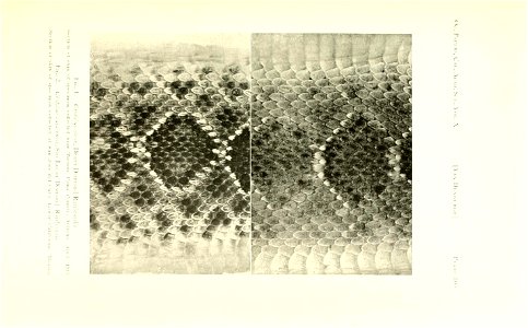 n374_w1150