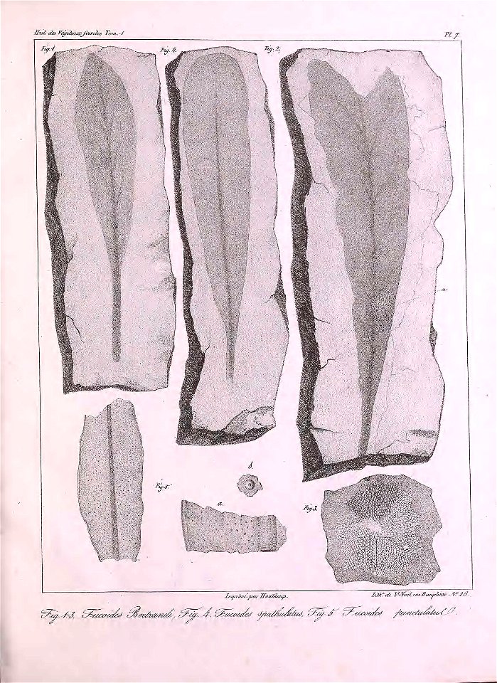 n330_w1150