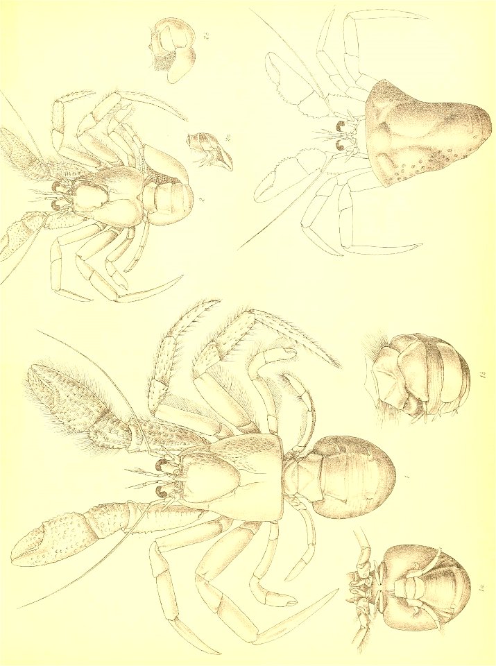 n228_w1150