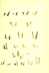 n16_w1150