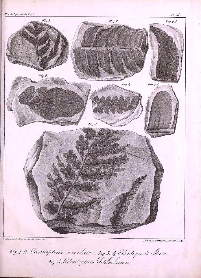 n478_w1150