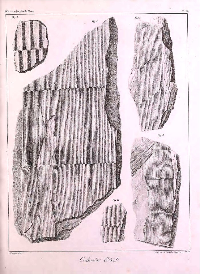 n358_w1150
