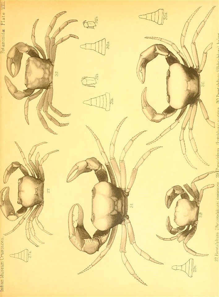 n164_w1150