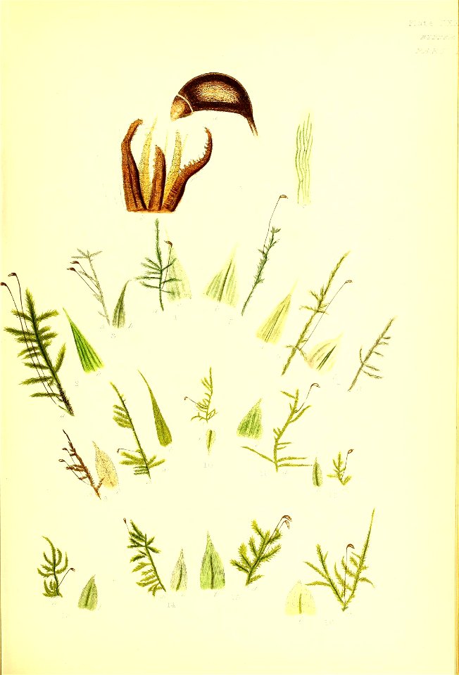 n140_w1150
