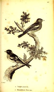 n608_w1150