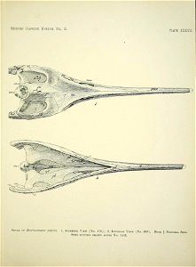 n458_w1150