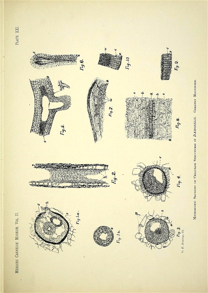 n276_w1150