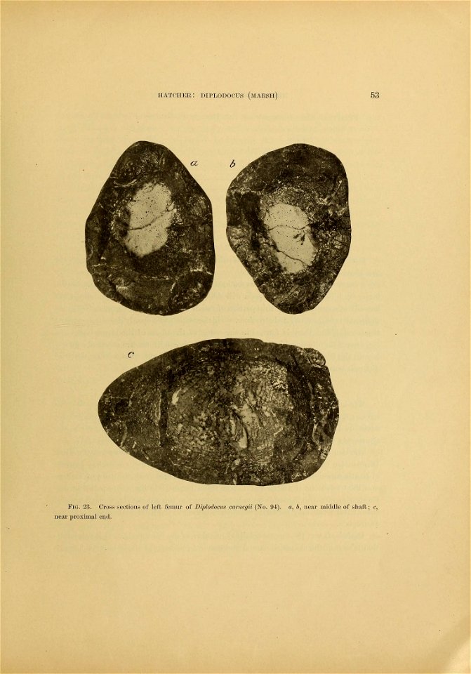 n68_w1150