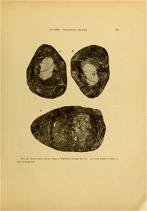 n68_w1150