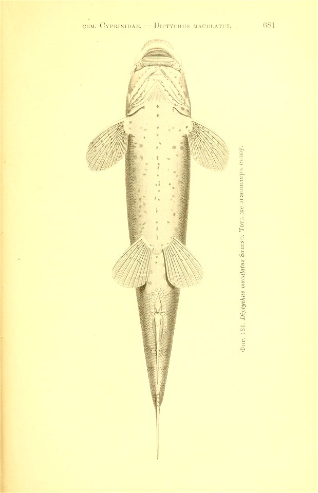 n356_w1150