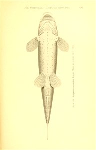 n356_w1150