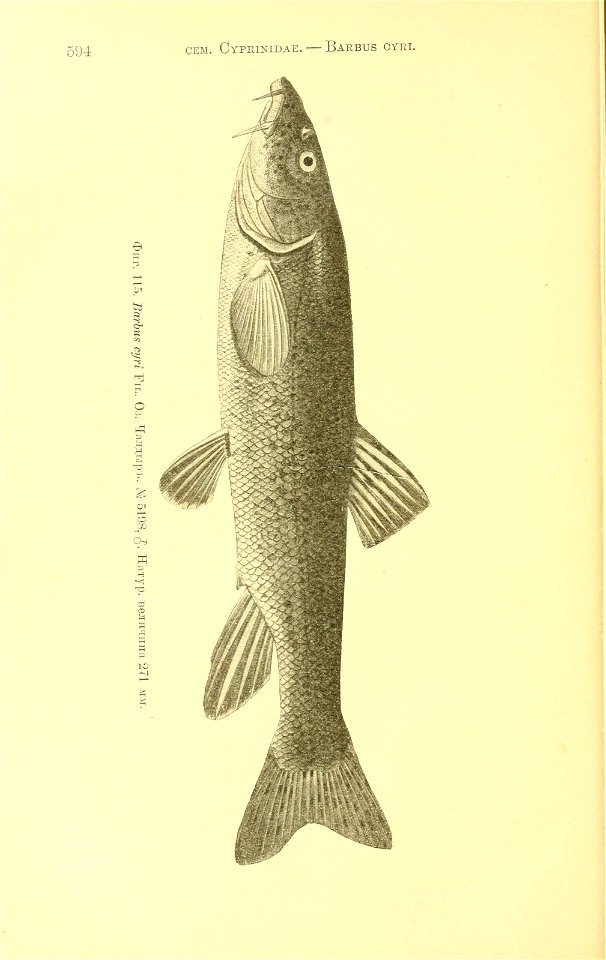 n269_w1150