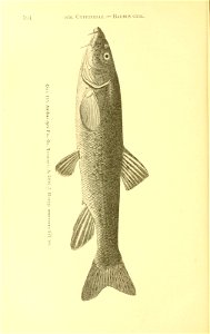 n269_w1150