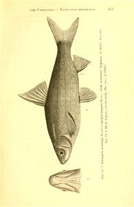 n88_w1150