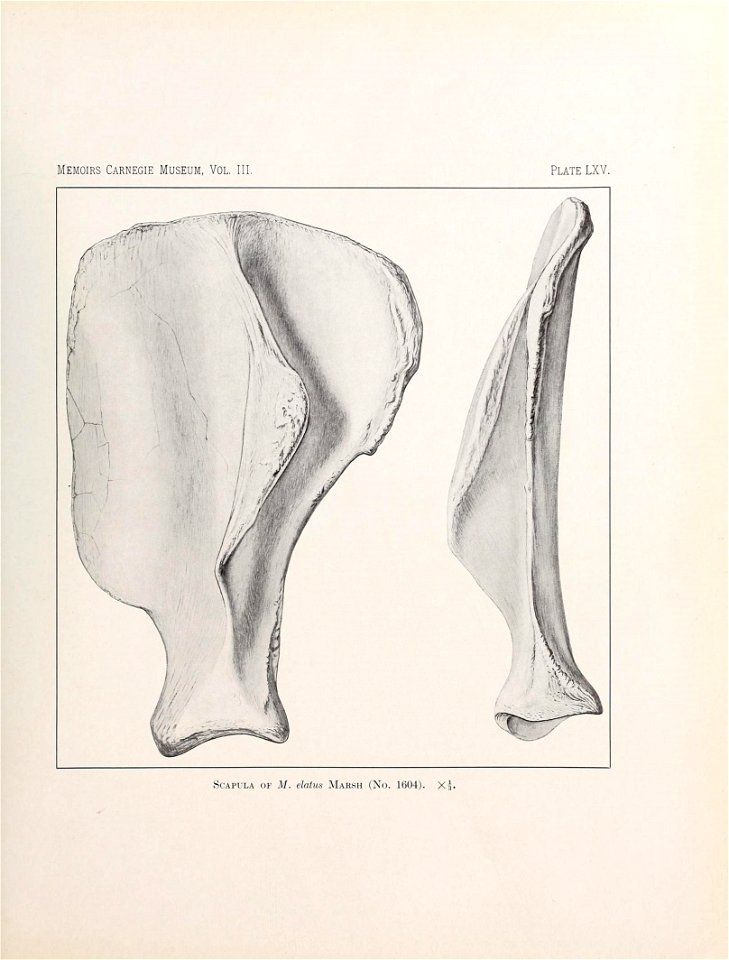 n566_w1150