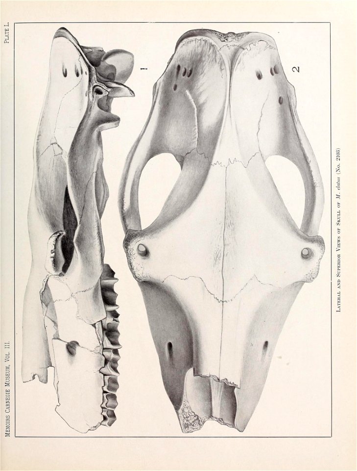 n536_w1150
