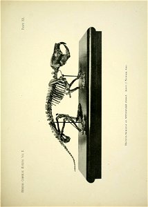 n272_w1150