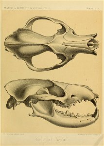 n152_w1150