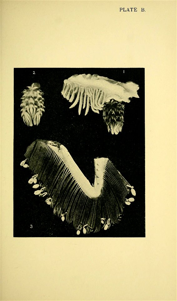 n276_w1150
