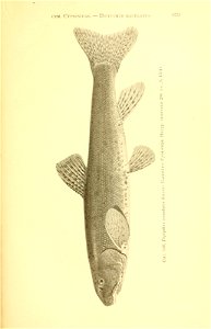 n354_w1150