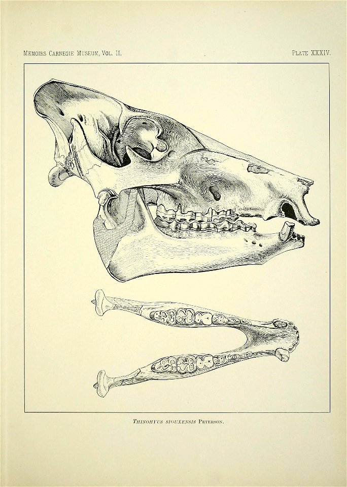 n434_w1150