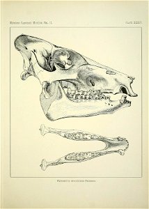 n434_w1150