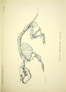 n268_w1150