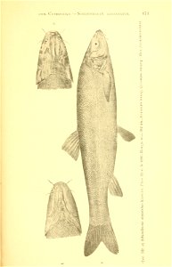 n346_w1150