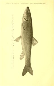 n341_w1150